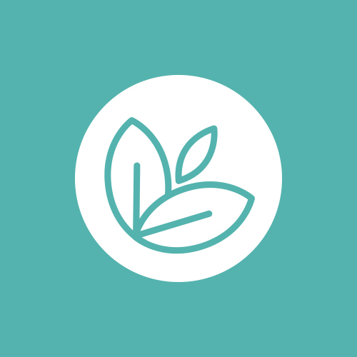 progetto ecommerce cipiacebio