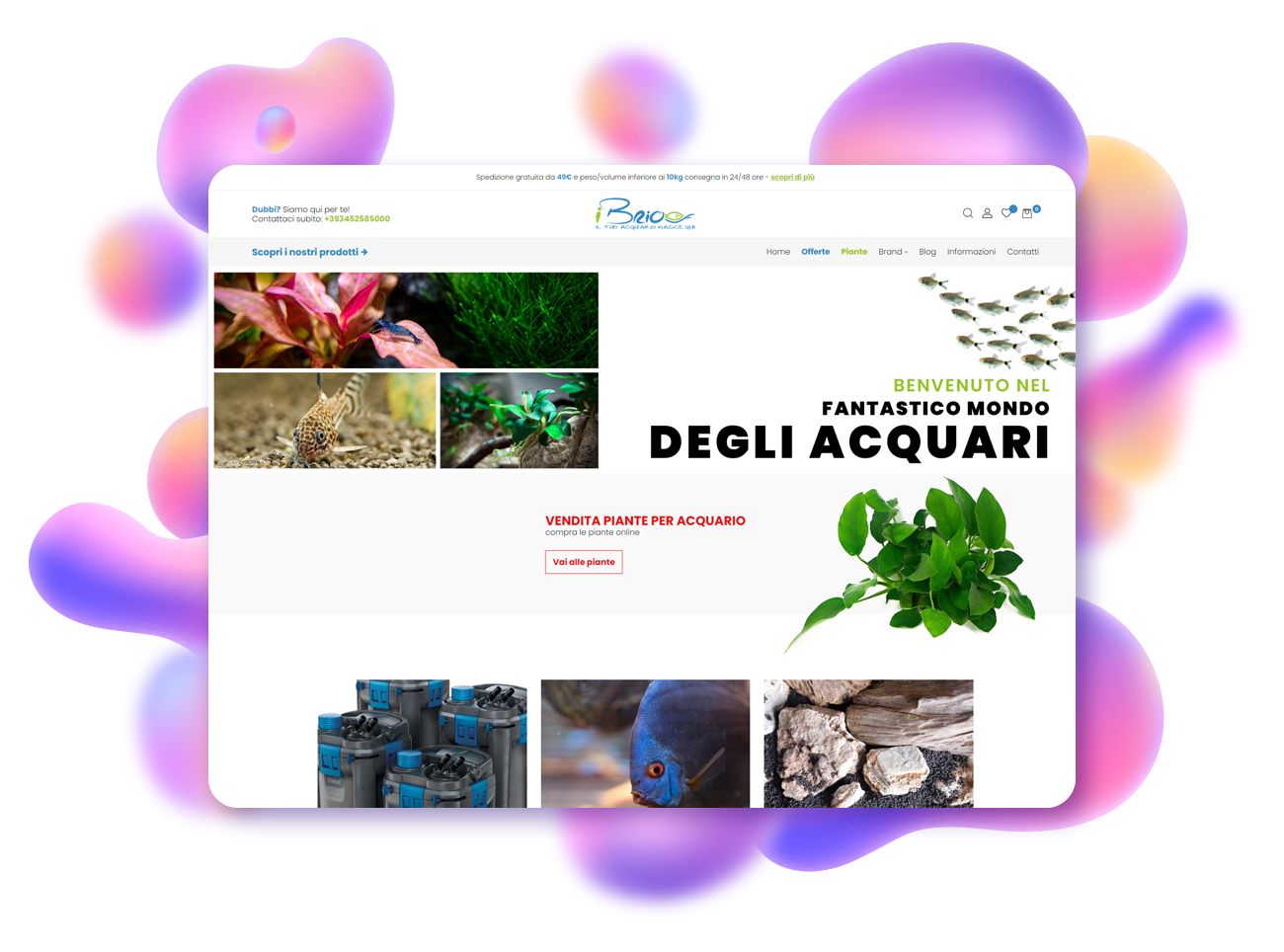 progetto ecommerce ibrio