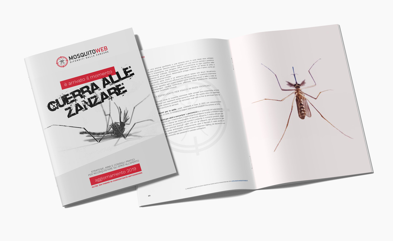 progetto ecommerce e grafico mosquito web