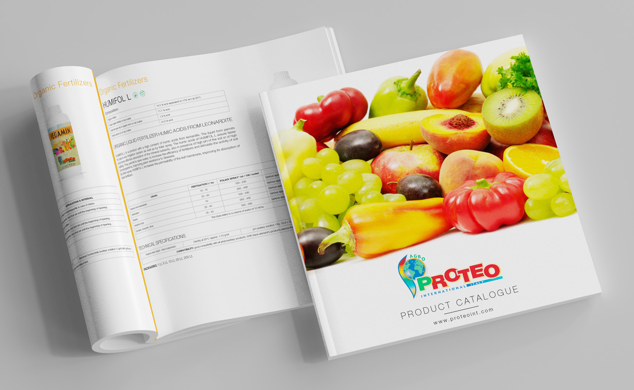 progetto grafico proteo international
